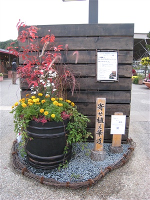 花フェスタ記念公園で大きな寄せ植えの展示