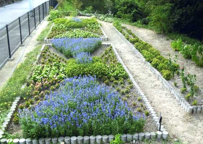 公共花壇 夏花壇 Webレッスン プランツギャザリング寄せ植え教室をお探しの方へ愛知岐阜など全国からお越しいただいています