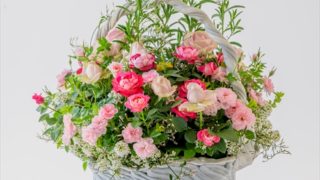 レッスン プランツギャザリング教室 制作 料金 資格取得 費用 ホームページ 体験レッスン 花創人 はなそうにん ガーデニング教室 岐阜 愛知 名古屋 各務原 一宮 小牧 犬山 春日井 江南 関 美濃 美濃加茂 可児 大垣 瑞穂 本巣 北方 岐南 笠松 羽島 安八 海津 養老 岩倉 大口 扶桑 木曽川 稲沢 八百津 関東 東京 Youtube オゼジュン先生 意味 みずのともこ やり方 できない 組めない ハンギング ウォールバスケット 趣味の園芸 オンラインレッスン 枯れる 観葉植物 滋賀 彦根 米原 長浜 大津 八日市 近江八幡 ホームページ センスのいい寄せ植え教室 販売店 JAPAN plants gathering society JPGS 近くの あおき 青木 アート水苔 意味 いなとめ 今村初恵 植え方 植え替え 器 植木鉢 おすすめ カリブラコア カラテア 簡単 カラーリーフ クリスマスローズ 毛糸 ケイトウ コツ 講習 講師 仕方 室内 シクラメン シロタエギク 予約 自分へのごほうび 開店祝い 誕生日プレゼント 就職祝い 母の日 敬老の日 金婚式 銀婚式 成人式 歓送迎会 送別会 展示会 ステージ 発表会 インテリア エクステリア ギフト ウエディングブーケ