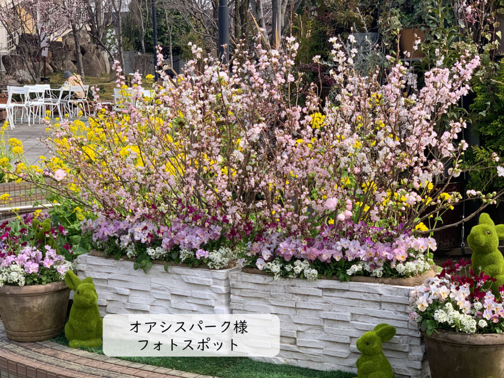 花創人（はなそうにん）は、岐阜県各務原市を拠点に活動するガーデニング教室です。プランツギャザリングや寄せ植えを中心に、オーダーメイドの作品を制作しています。
花創人では、植物の魅力を最大限に引き出すレッスンやプランツギャザリング教室を提供しています。経験豊富な講師が丁寧に指導し、様々な技術やデザインの手法を学ぶことができます。
体験レッスンでは、初めての方でも気軽に参加できます。ガーデニングに興味を持つ方々におすすめです。また、資格取得を目指す方にも、充実したカリキュラムをご用意しています。
花創人のホームページでは、プランツギャザリングの作品やレッスンの様子を紹介しています。また、Youtubeチャンネルでは、オゼジュン先生ガーデニングのやり方や意味についても学ぶことができます。
寄せ植えやハンギングバスケットは、花創人が得意とする分野です。センスのいい寄せ植え教室やオンラインレッスンを通じて、日日草ニチニチソウ、サルビア、パンジービオラ、葉牡丹ハボタン、桔梗、薔薇バラ、百日草ジニア、などさまざまな植物を組むことでどなたでも素敵な作品を作りします。
観葉植物に興味がある方には、愛知県 名古屋市 各務原 一宮 小牧 犬山 春日井 江南 岐阜県　関 美濃 美濃加茂 可児 大垣 瑞穂 本巣 北方 岐南 笠松 羽島 安八 海津 養老 岩倉 大口 扶桑 木曽川 稲沢 八百津 関東 東京　滋賀県の彦根や米原、長浜、大津、八日市、近江八幡など、おすすめの品々をご紹介しています。近くの方からのオーダーをいただいています。
花創人は一般社団法人JAPAN Plants Gathering Society（JPGS）のメンバーでもあります。この組織は、ガーデニング愛好家たちが集まり、情報交換やイベントの開催などを通じて交流を深めています。
植木鉢や器の選び方もアドバイスし、おしゃれなインテリアやエクステリアを演出するお手伝いもいたします。
寄せ植え教室やオンラインレッスンの参加は、自分へのご褒美や開店祝い、誕生日プレゼント、就職祝い、母の日、敬老の日、金婚式や銀婚式、成人式、歓送迎会、送別会などの様々なシーンでおすすめです。また、展示会やステージ、発表会などでも、花創人の作品を活かした演出を提案いたします。
さらに、花創人では特別なギフトとして、ウェディングブーケやRooty bouquet（ルーティブーケ）を制作しています。花の持つ美しさと芳香を大切にし、特別な日の演出に華を添えます。
花創人のホームページをご覧いただき、私たちのガーデニング教室や作品について詳しくご確認ください。お客様のガーデニングライフを彩るお手伝いをさせていただけることを、心よりお待ちしております。

